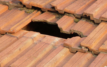 roof repair Haresfield